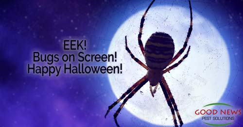 Trick or Treat! Insects Terrorize the World on Screen!