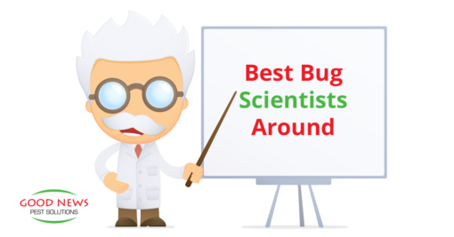 Florida Has the Best Bug Scientists Around!