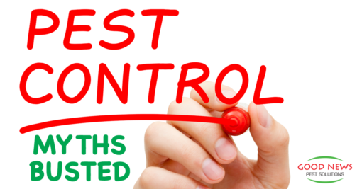 8 Pest Control Myths Busted