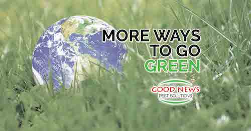 More Ways to Go Green!