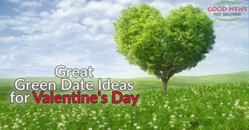 "Green" Date Ideas for Valentine's Day