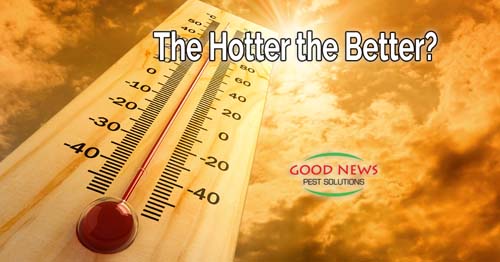 The Hotter the Better?