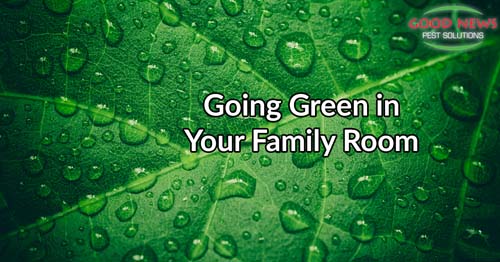 Ways to Go Green in Your Bedroom