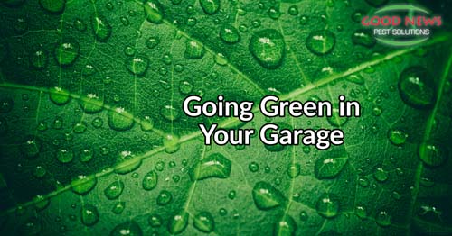 Going Green in Your Garage