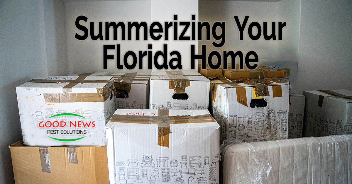 Summerizing Your Florida Home